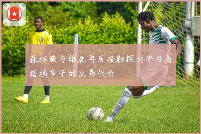 森林狼与雄鹿再度接触探讨字母哥搭档华子的交易代价